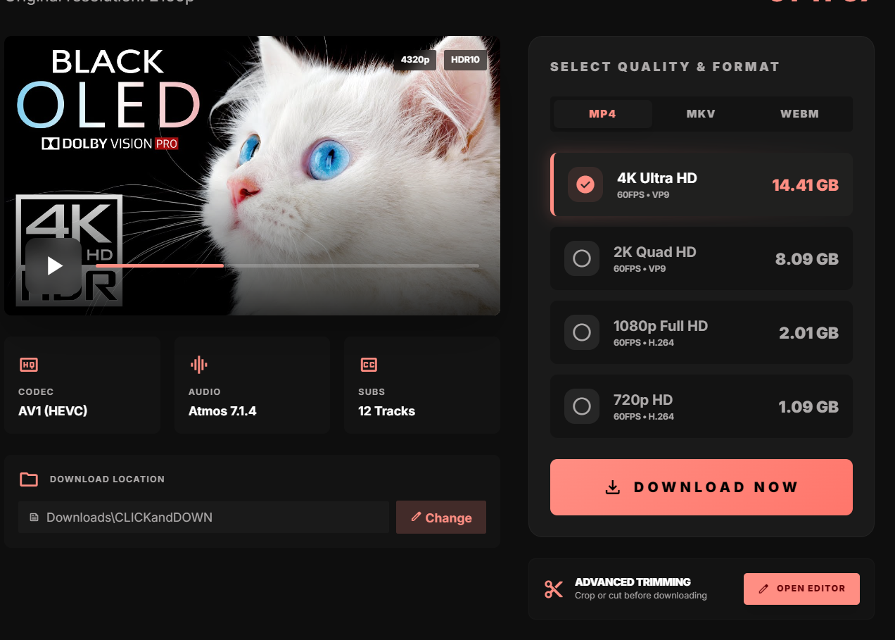 Quality selection and download interface