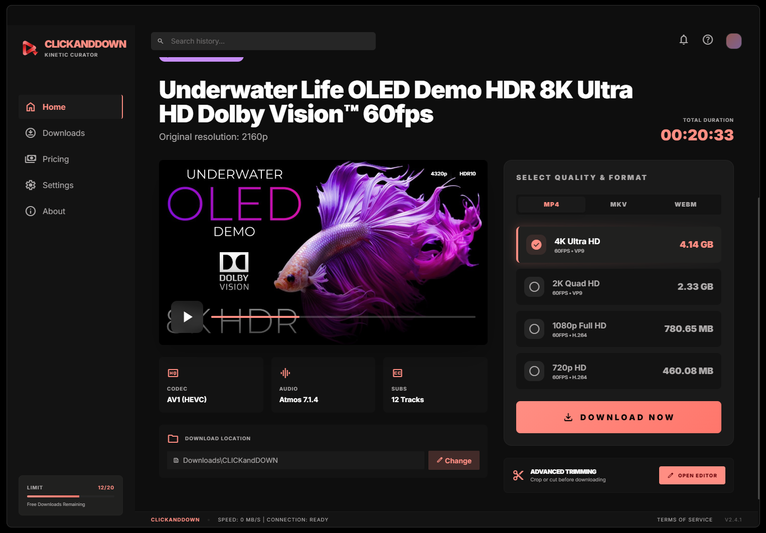 App selection interface